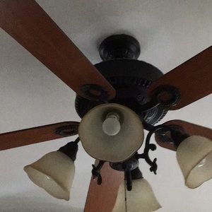 Meet your Posher, Anne